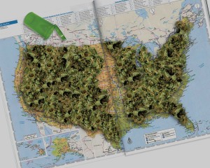 Map with marijuana